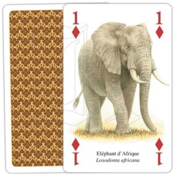 Jeu de cartes - Animaux d'Afrique Jeu de cartes - Animaux d'Afrique