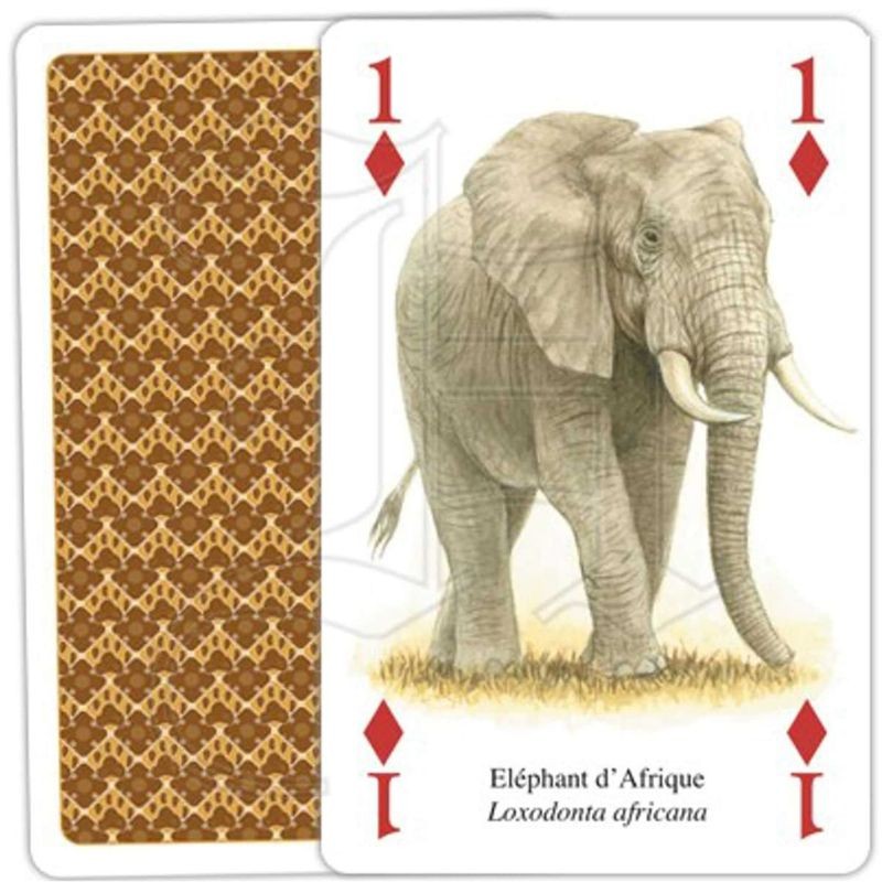 Jeu de cartes - Animaux d'Afrique Jeu de cartes - Animaux d'Afrique