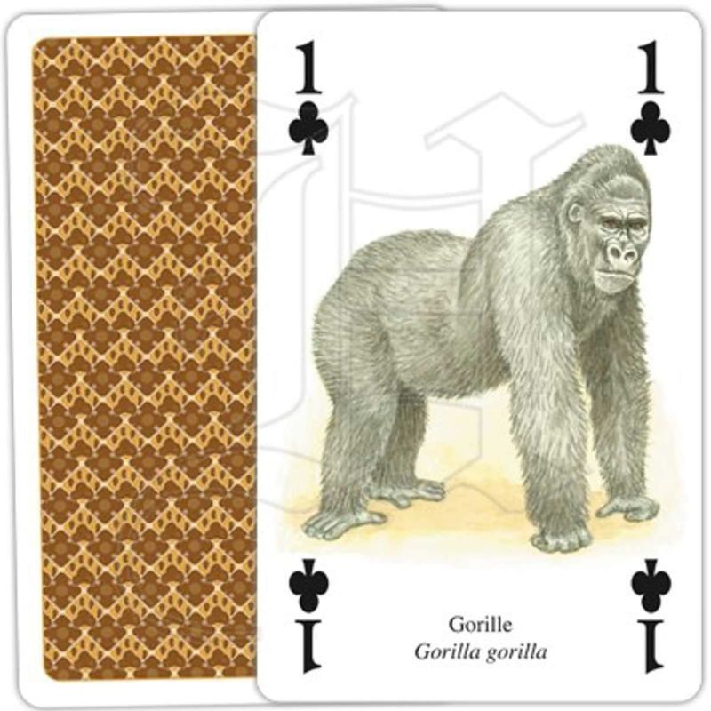 Jeu de cartes - Animaux d'Afrique Jeu de cartes - Animaux d'Afrique