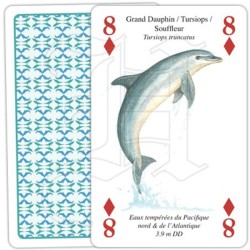 Jeu de cartes - Baleines & Dauphins – Ligue Royale Belge pour la Protection des Oiseaux Jeu de cartes - Baleines & Dauphins – Ligue Royale Belge pour la Protection des Oiseaux
