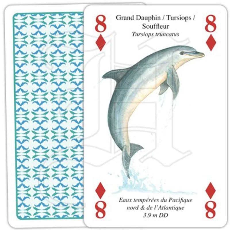 Jeu de cartes - Baleines & Dauphins – Ligue Royale Belge pour la Protection des Oiseaux Jeu de cartes - Baleines & Dauphins – Ligue Royale Belge pour la Protection des Oiseaux