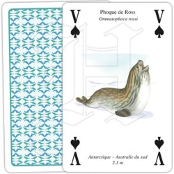Jeu de cartes - Baleines & Dauphins – Ligue Royale Belge pour la Protection des Oiseaux Jeu de cartes - Baleines & Dauphins – Ligue Royale Belge pour la Protection des Oiseaux