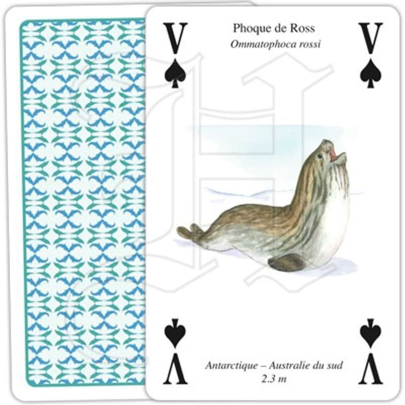 Jeu de cartes - Baleines & Dauphins – Ligue Royale Belge pour la Protection des Oiseaux Jeu de cartes - Baleines & Dauphins – Ligue Royale Belge pour la Protection des Oiseaux