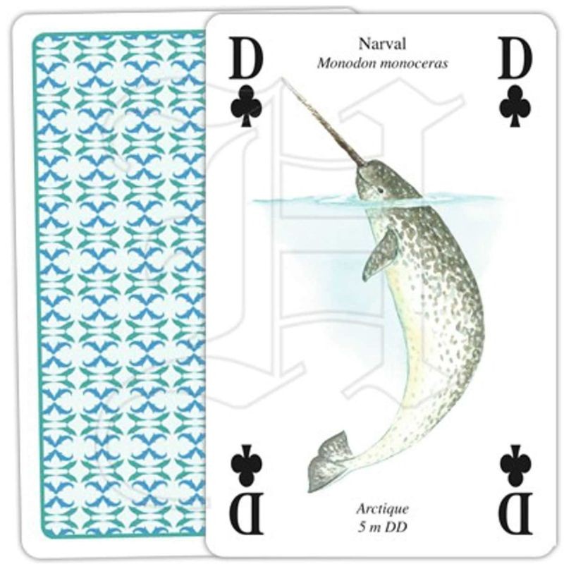 Jeu de cartes - Baleines & Dauphins – Ligue Royale Belge pour la Protection des Oiseaux Jeu de cartes - Baleines & Dauphins – Ligue Royale Belge pour la Protection des Oiseaux