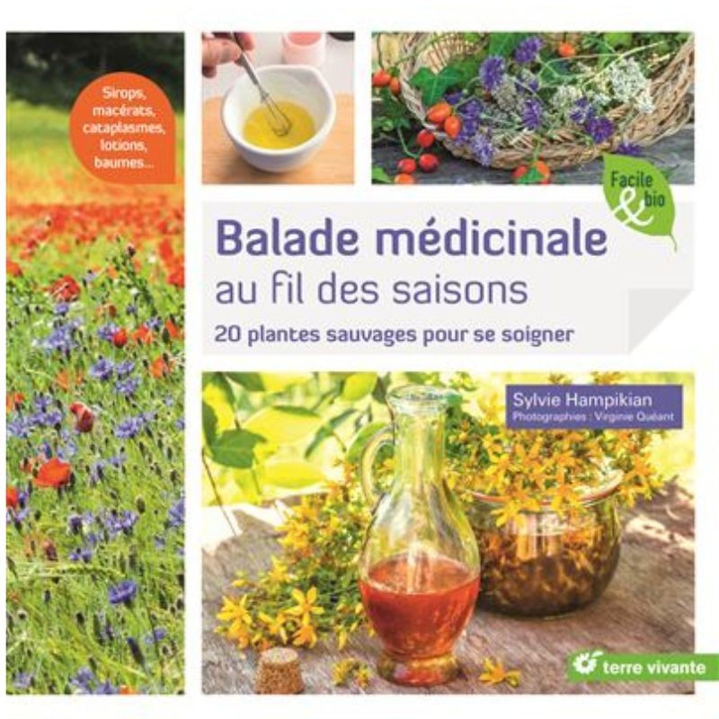 Balade médicinale au fil des saisons - 20 plantes sauvages pour se soigner