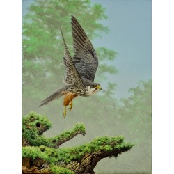 Faucon hobereau - Carte de correspondance d'André Buzin