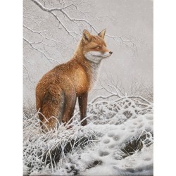 Renard roux (2020) - Carte de correspondance d'André Buzin