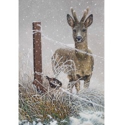 Jeune Chevreuil - Carte de correspondance d'André Buzin