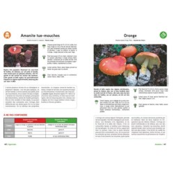 Le Grand livre des champignons - Edition 2025