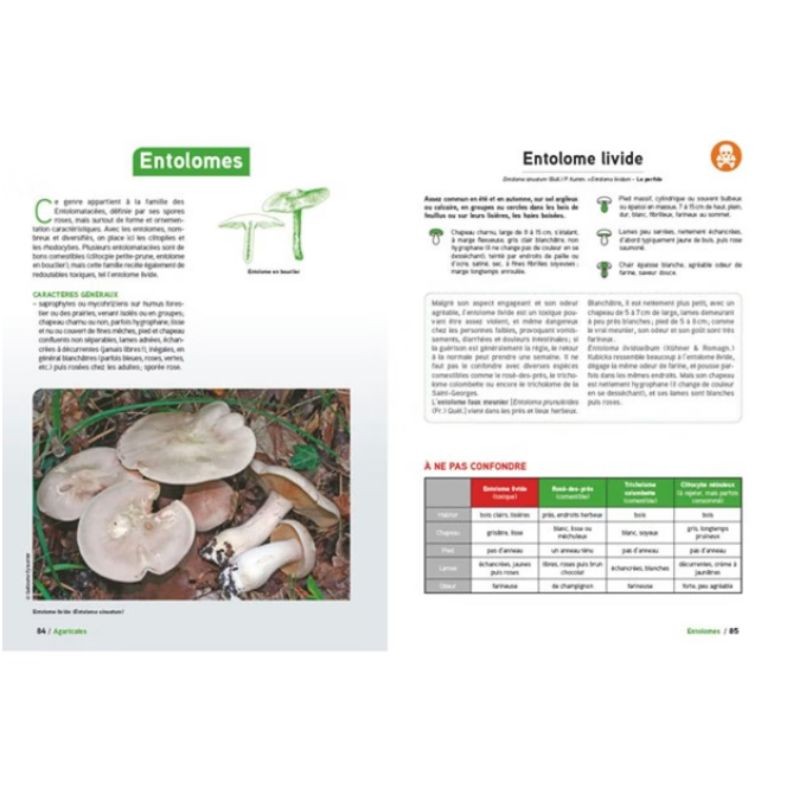 Le Grand livre des champignons - Edition 2025