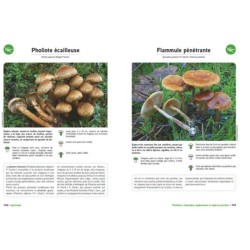 Le Grand livre des champignons - Edition 2025