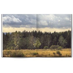 La forêt qui plantait des arbres