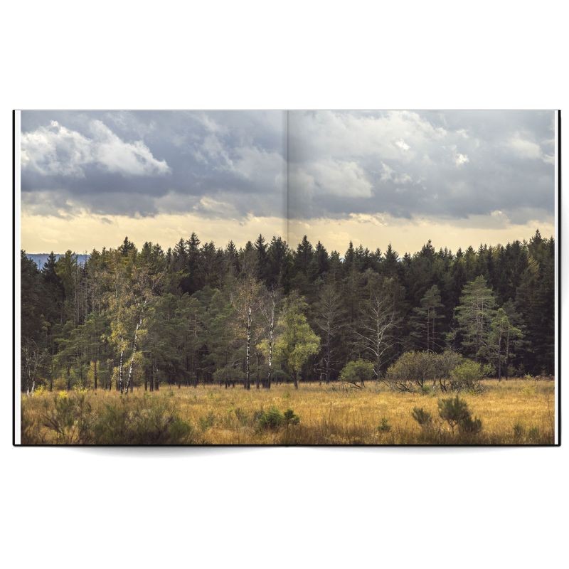 La forêt qui plantait des arbres