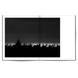 La forêt qui plantait des arbres