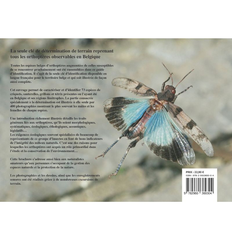 Clé de détermination photographique des criquets, sauterelles, grillons et tétrix de Belgique Clé de détermination photographique des criquets, sauterelles, grillons et tétrix de Belgique