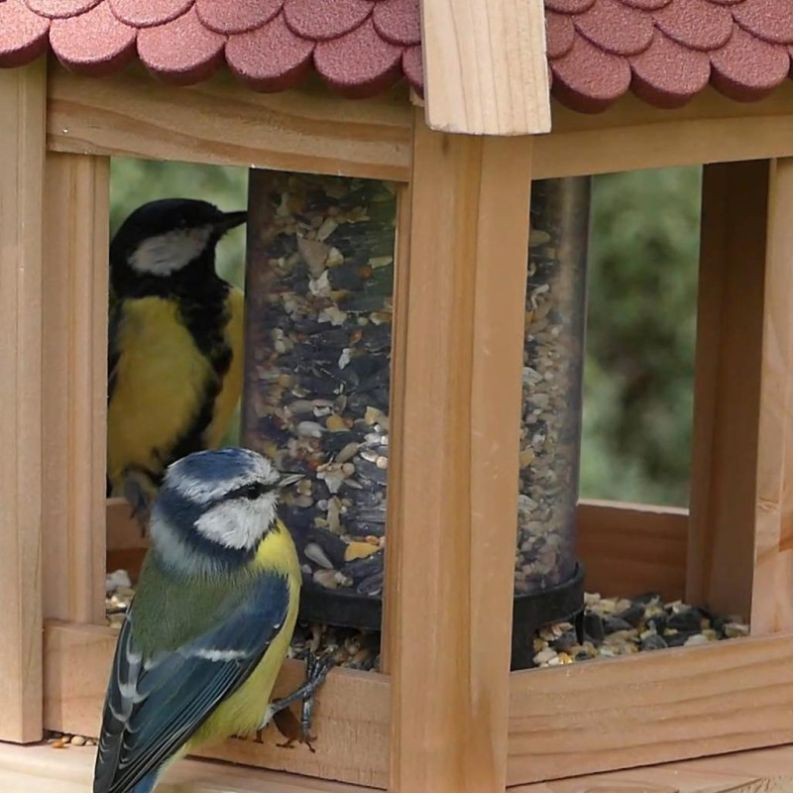 Mangeoire "Gazebo Junior" - Eco Ressource - Toit vert/rouge ou noir