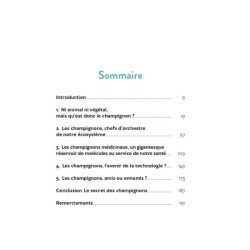 Le Génie méconnu et discret des champignons Le Génie méconnu et discret des champignons
