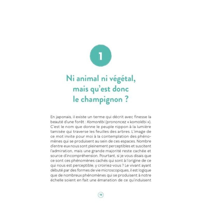 Le Génie méconnu et discret des champignons Le Génie méconnu et discret des champignons