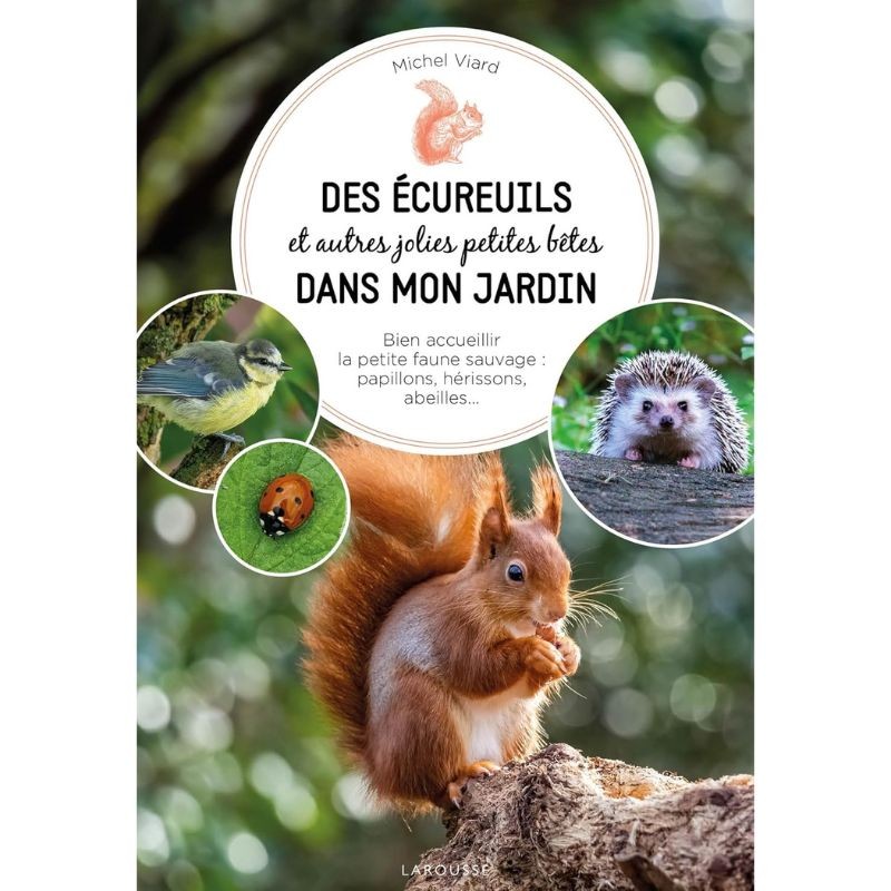 Des écureuils et autres jolies petites bêtes dans mon jardin : Bien accueillir la petite faune sauvage - papillons, hérissons, a