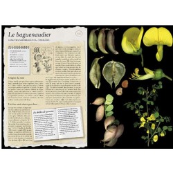 L'Herbier Larousse des plantes sauvages L'Herbier Larousse des plantes sauvages