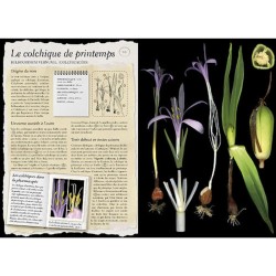 L'Herbier Larousse des plantes sauvages L'Herbier Larousse des plantes sauvages