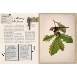 Carnets secrets d'un ornithologue Carnets secrets d'un ornithologue