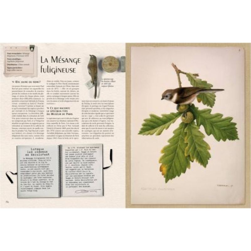 Carnets secrets d'un ornithologue Carnets secrets d'un ornithologue