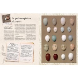 Carnets secrets d'un ornithologue Carnets secrets d'un ornithologue
