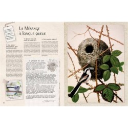 Carnets secrets d'un ornithologue Carnets secrets d'un ornithologue