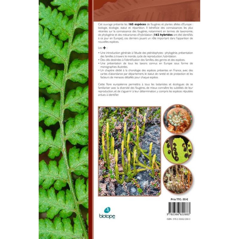 Les Fougères et plantes alliées d'Europe - 2ème édition Les Fougères et plantes alliées d'Europe - 2ème édition