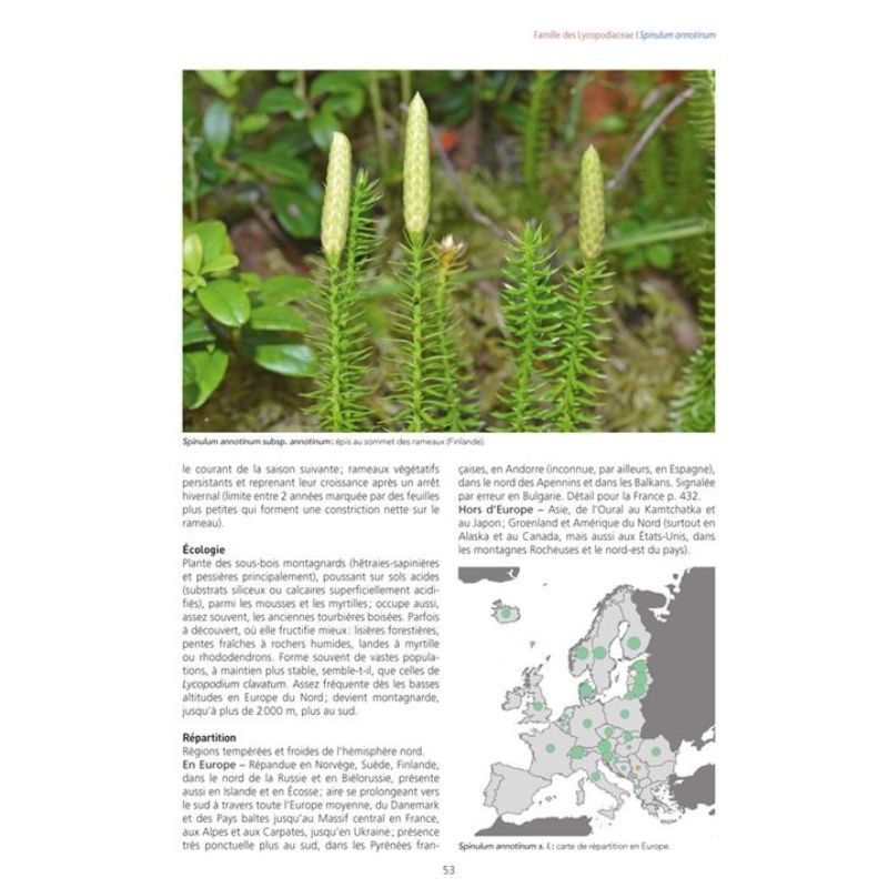 Les Fougères et plantes alliées d'Europe - 2ème édition Les Fougères et plantes alliées d'Europe - 2ème édition