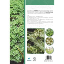 Les Bryophytes de France - Anthocérotes et hépatiques Tome 1 Les Bryophytes de France - Anthocérotes et hépatiques Tome 1
