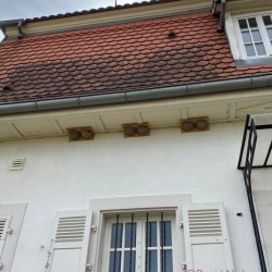Nichoir pour hirondelles de fenêtre "Santa Cruz" - Double - Bois/Béton de bois Nichoir pour hirondelles de fenêtre "Santa Cruz" - Double - Bois/Béton de bois