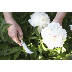 Couteau à élaguer N°08 - Opinel "Garden" - Acier inoxydable/Bois de hêtre