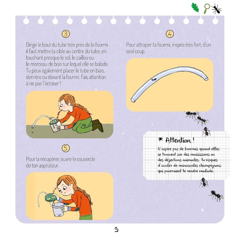 Le monde secret des fourmis