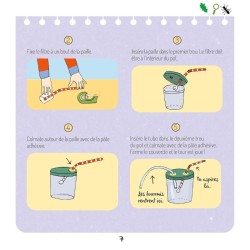 Le monde secret des fourmis