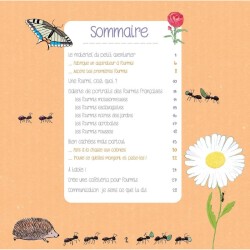 Le monde secret des fourmis