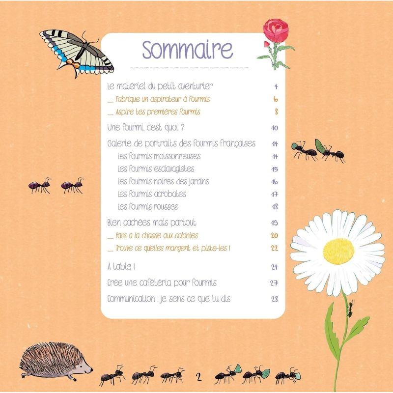 Le monde secret des fourmis