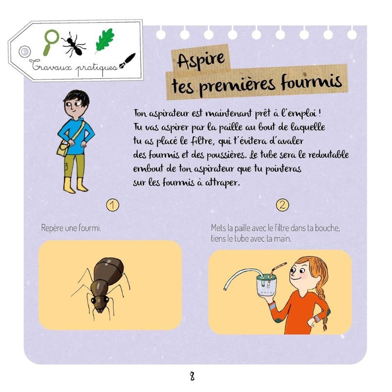 Le monde secret des fourmis