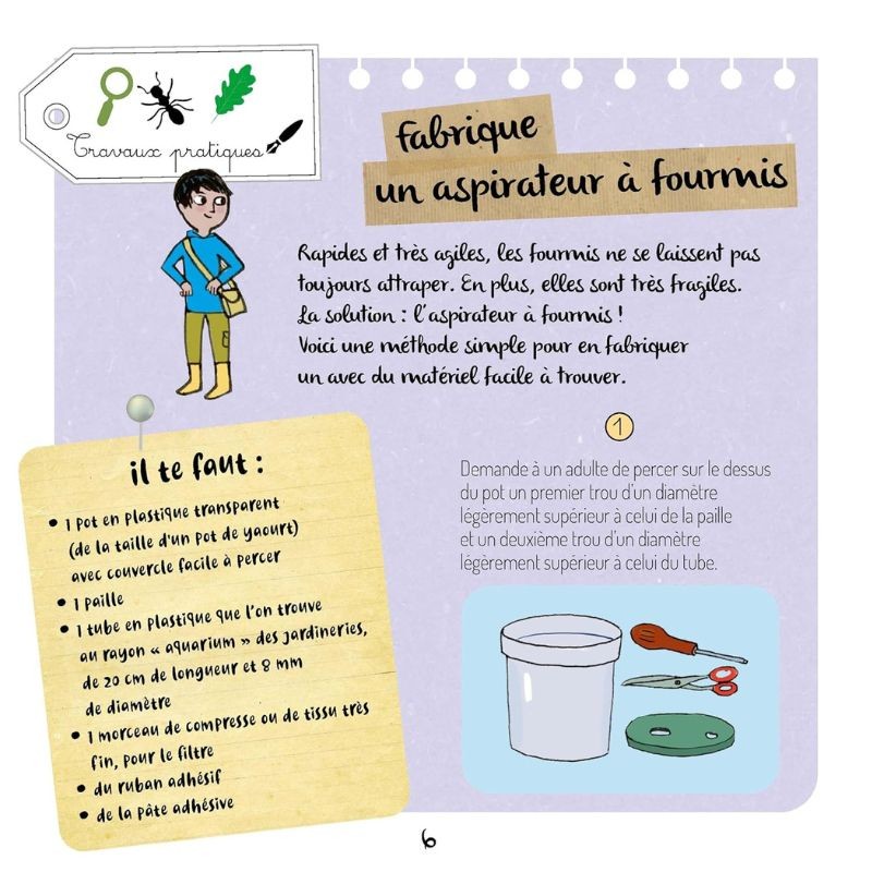 Le monde secret des fourmis