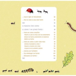 Le monde secret des fourmis