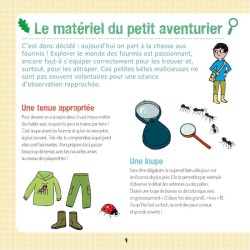 Le monde secret des fourmis