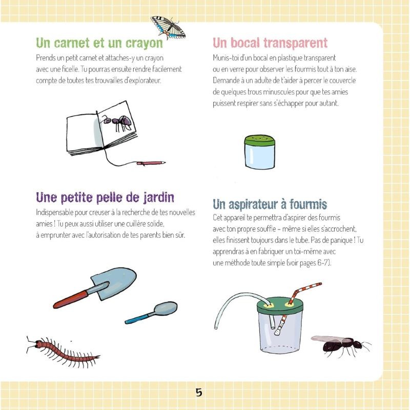 Le monde secret des fourmis