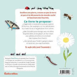 Le monde secret des fourmis