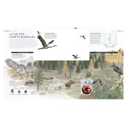 Habitats sauvages - A la découverte des fascinants écosystèmes du monde Habitats sauvages - A la découverte des fascinants écosystèmes du monde