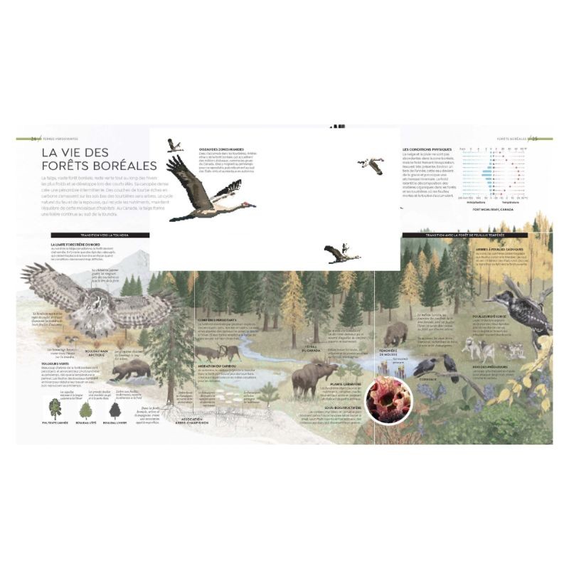 Habitats sauvages - A la découverte des fascinants écosystèmes du monde Habitats sauvages - A la découverte des fascinants écosystèmes du monde