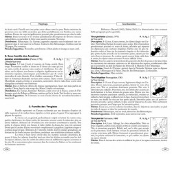 Coléoptères d'Europe, Scarabées, Hannetons, Staphylins, Hydrophiles - Volume 2 - Polyphaga