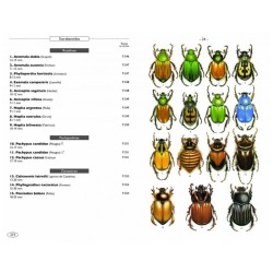 Coléoptères d'Europe, Scarabées, Hannetons, Staphylins, Hydrophiles - Volume 2 - Polyphaga