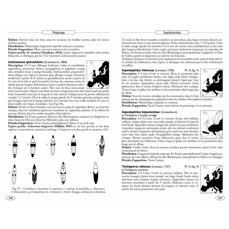 Coléoptères d'Europe, Scarabées, Hannetons, Staphylins, Hydrophiles - Volume 2 - Polyphaga
