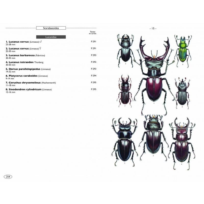 Coléoptères d'Europe, Scarabées, Hannetons, Staphylins, Hydrophiles - Volume 2 - Polyphaga
